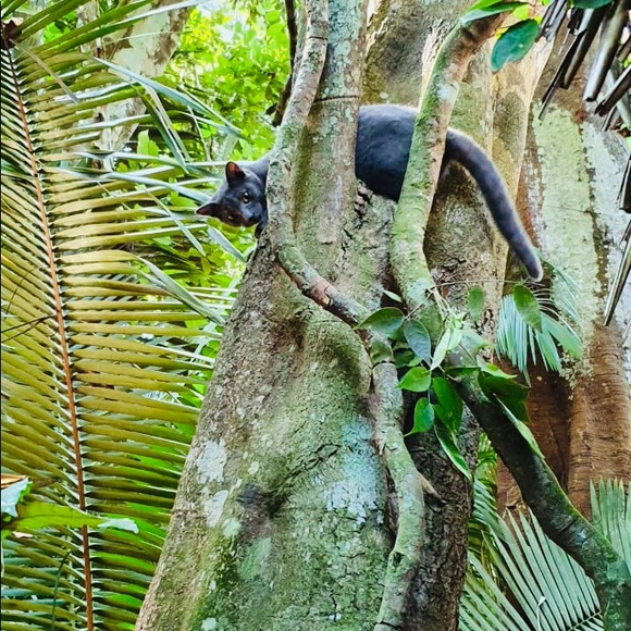 Meet your Posher, Gabriela - Picture 1 of 1